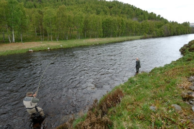 River Dee Report – June 11th