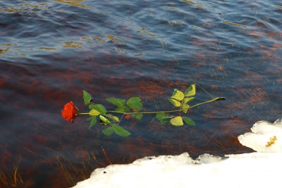 A farewell to a friend!