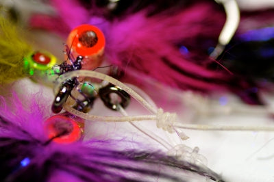 and some nice flies tied!