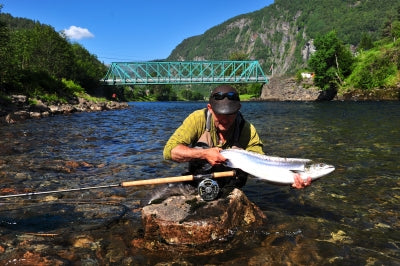 Second day 4 salmon to me!