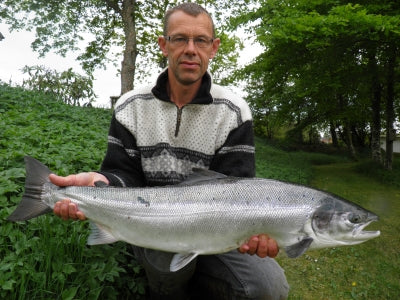 Danish salmon rivers 2014