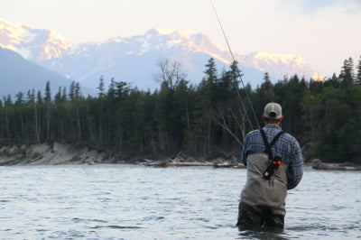 Skagit lines for high water levels
