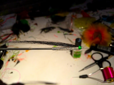 Flies for Iceland!