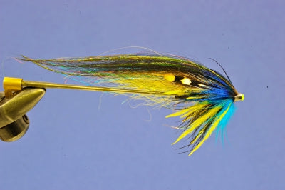 The magic Alta fly