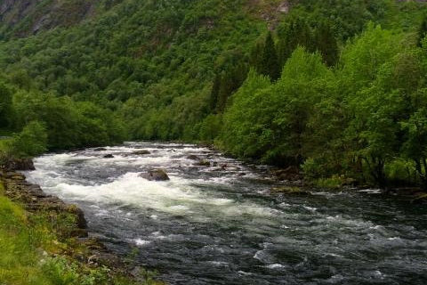 River Å - perfect conditions!
