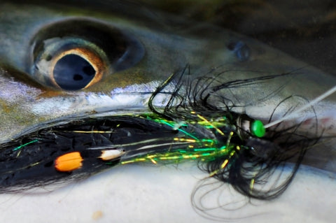 Samurai fly tying competition!
