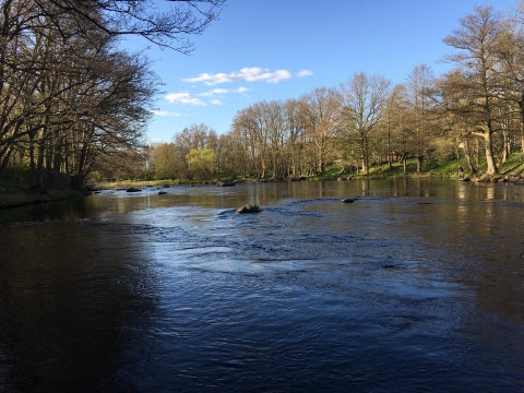 Mörrum low water but exciting...