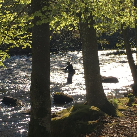 May Master class in Mörrum