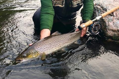 A fantastic day’s fishing!