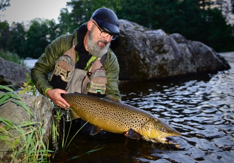 Back on Kungsådran - 3 sea trout over 80 cm!