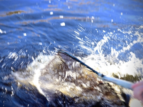 First full day’s fishing