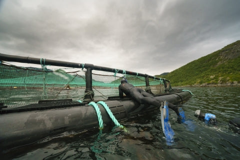 Mikael appeals the sentence in the fish farming court case