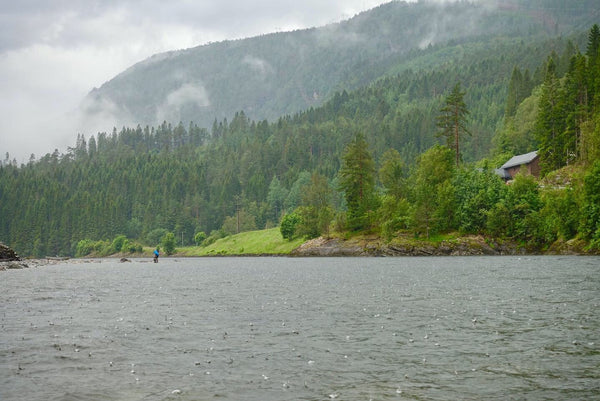 First days on Bolstad – rain, rain and more rain