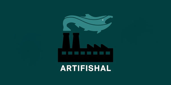 ARTIFISHAL European Premieres in Iceland and Norway