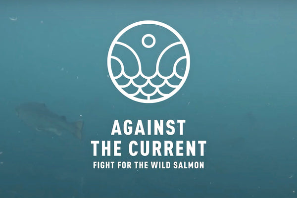 Against the current – back the NASF campaign!