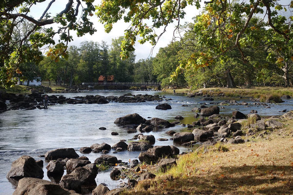 River Em fall fishing – big salmon in tricky conditions
