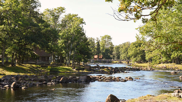 River Em – Where the World’s Biggest Sea Trout Still Run