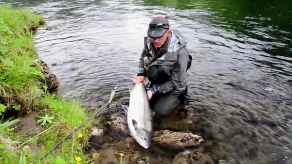 To Fight the Big Fish