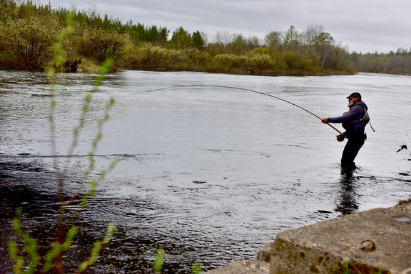 Two days on Kola river – a happy surprise!
