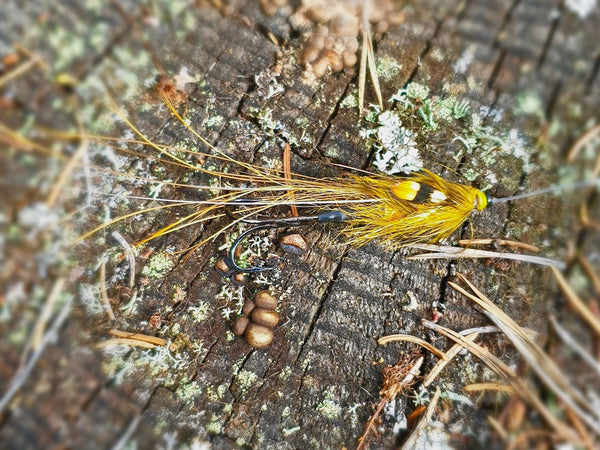The 55 lbs Steinfossen fly – Wille’s Banana Pig
