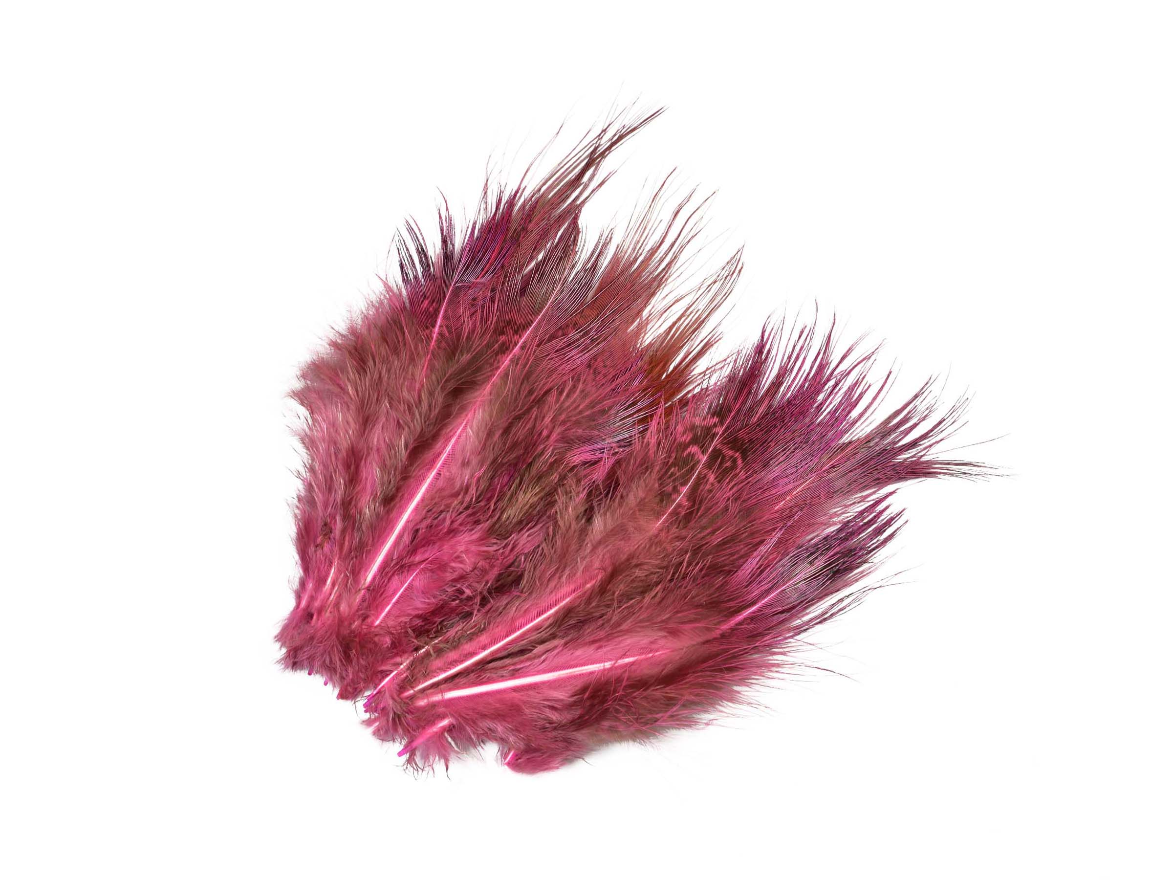 SNS Pheasant Rump Feathers | Shop now – Frödinflies