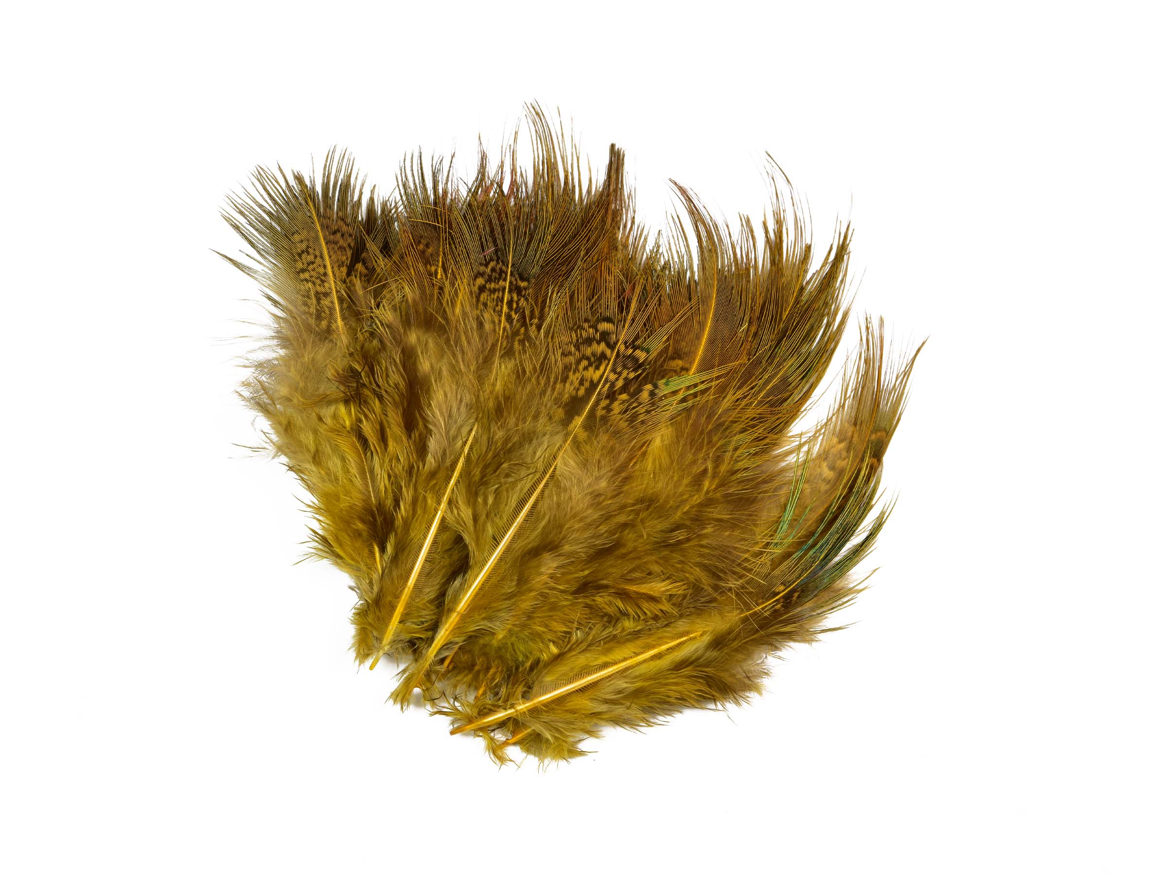 SNS Pheasant Rump Feathers | Shop now – Frödinflies