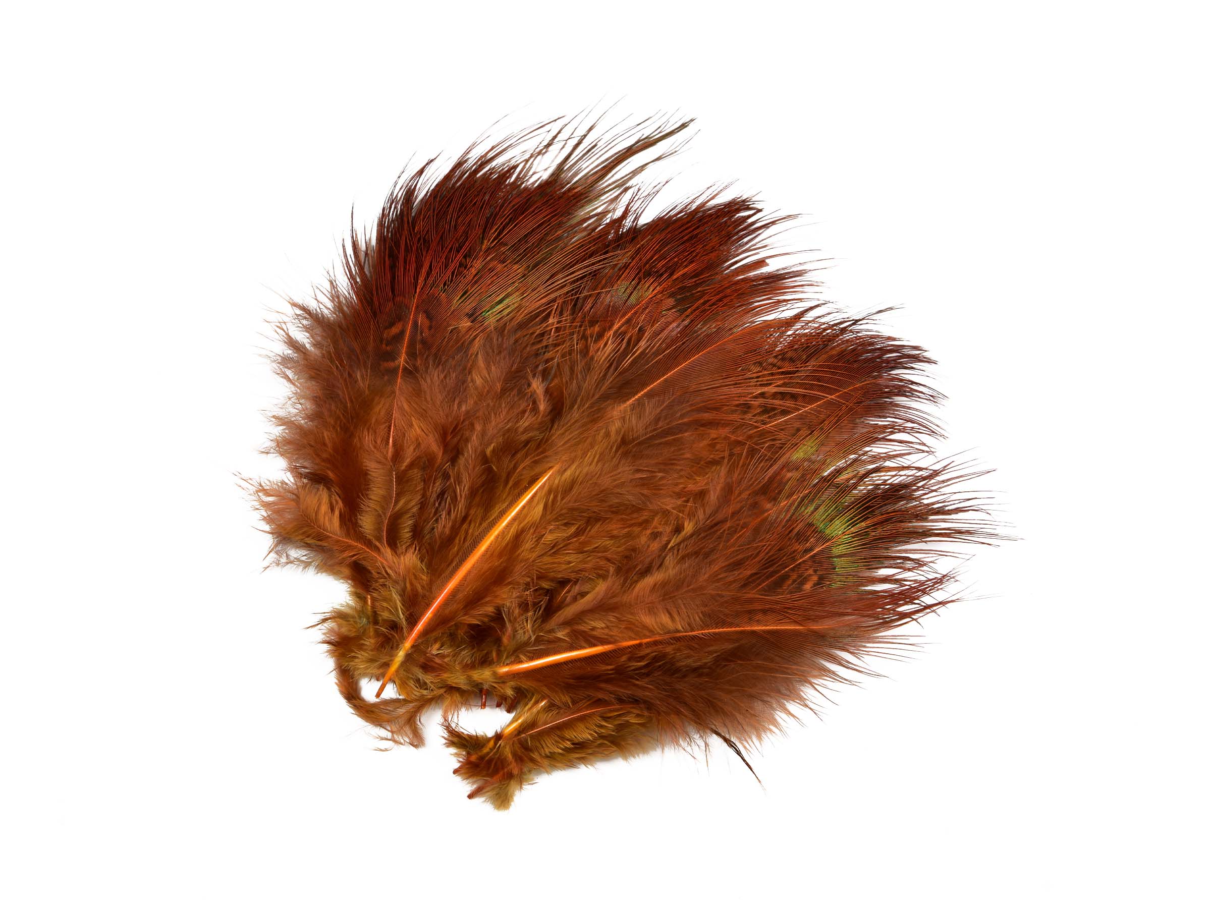 SNS Pheasant Rump Feathers | Shop now – Frödinflies