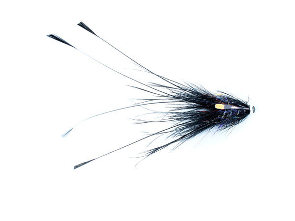 Black Pig
