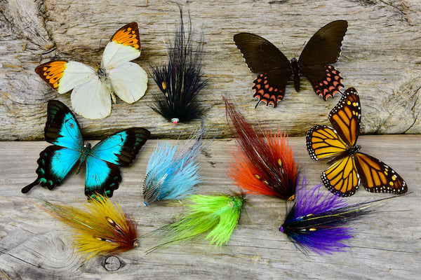 12-pack Black & Silver Butterfly