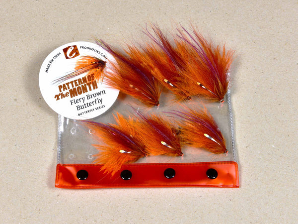 FM #18 – Fiery Brown Butterfly