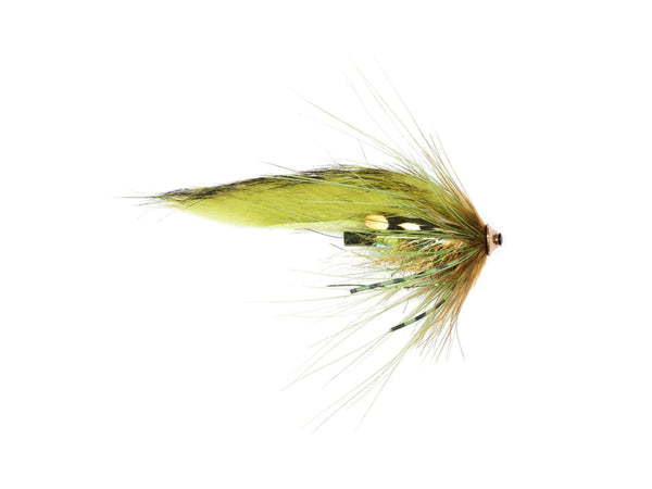 Olive Z Spey