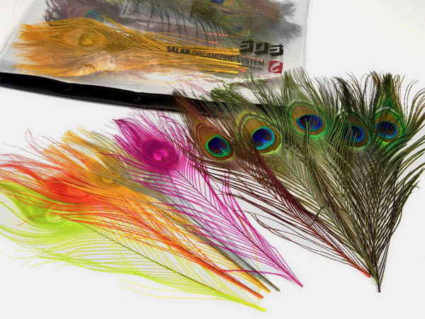 Peacock Eye Feather Pack