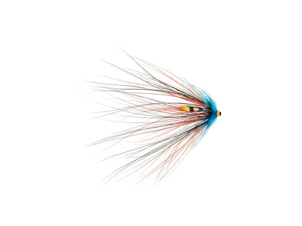 Thunder Spey